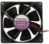 cy 204n