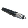 rca plug