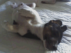 Moet dit echt ... 09-09-2006