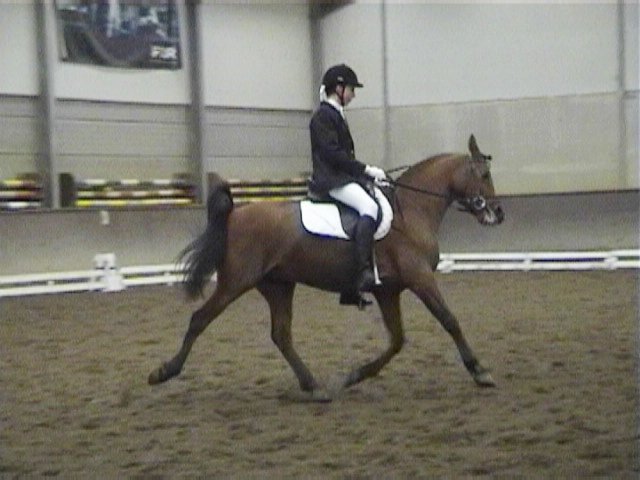 Het gaat al beter (maart 2006)