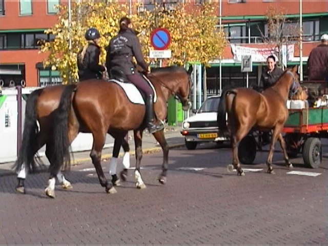 Op naar de Paardenzegening