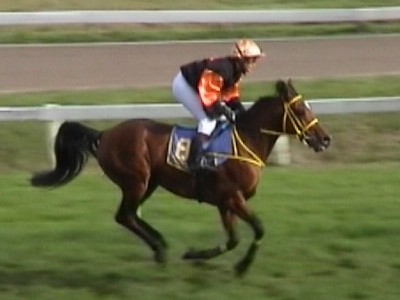 30 september 2007 - Duindigt
