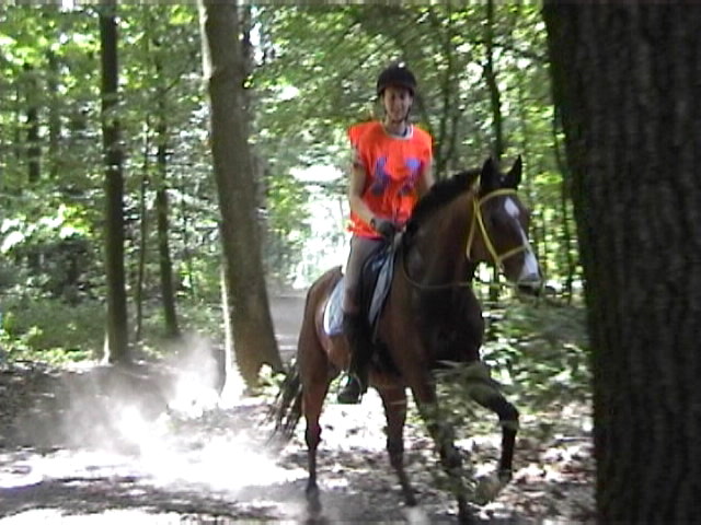 Joepy Endurance