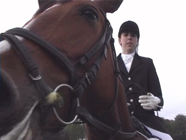 Dressuur wedstrijd