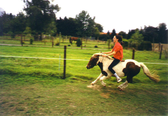 Cooky in volle galop