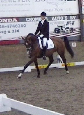 Zomaar wat foto's