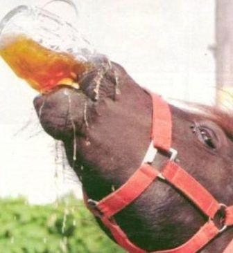 Bierpaard