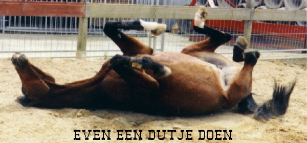 Heeft niemand gezien