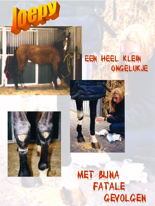 Ongelukje