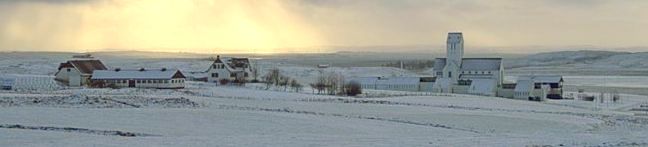 Kathedraal van Sk�lholt