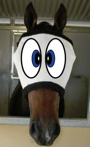 Funny Fly Mask