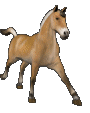 Galop