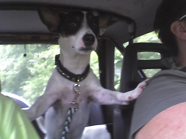 We gaan toch zeker zwemmen