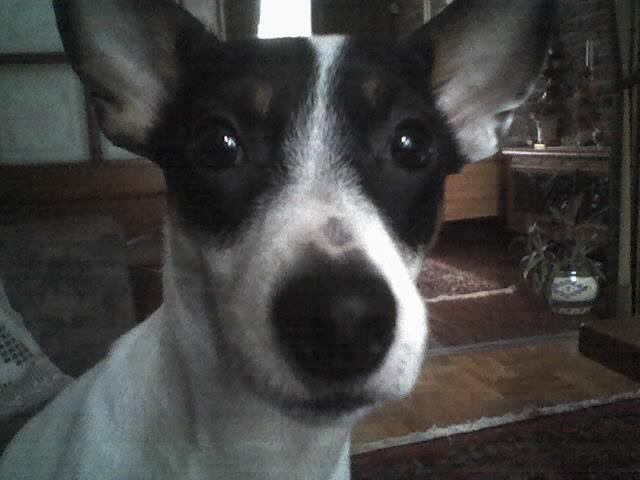 Mogge ... 06-01-2007