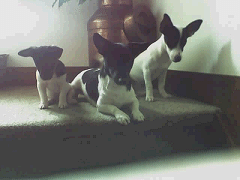 Hier waken wij ... 07-09-2006