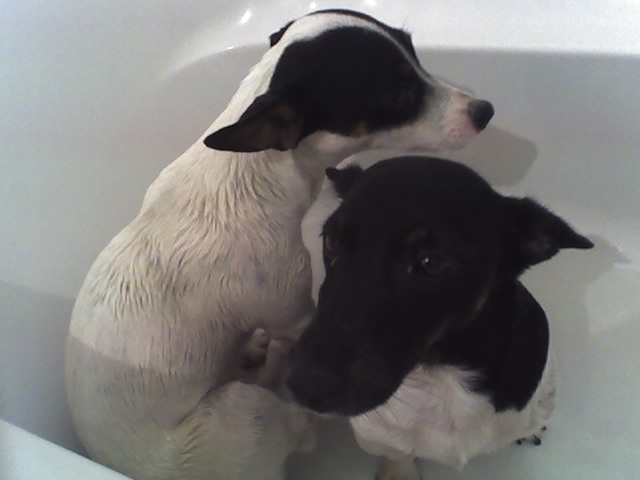 Kouuuuuud ... 09-09-2007