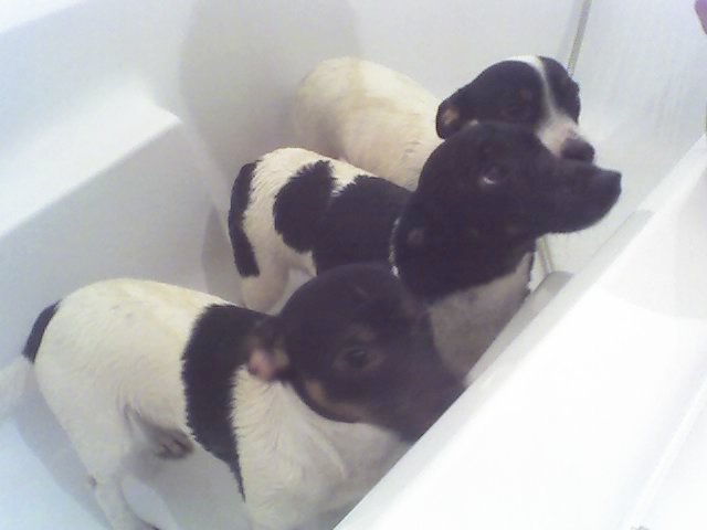 Samen in bad ... 18-03-2007