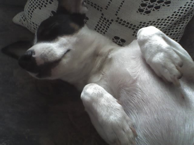 truste ... 14-01-2007