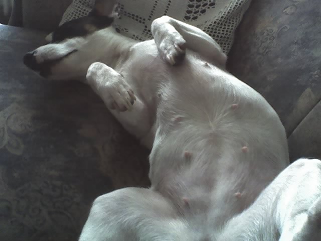 Heerlijk ... 14-01-2007