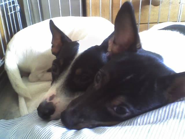 Lief h ... 23-01-2007