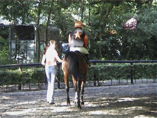 Hoooo, nog even wachten