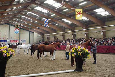 foto Sandra Nieuwendijk