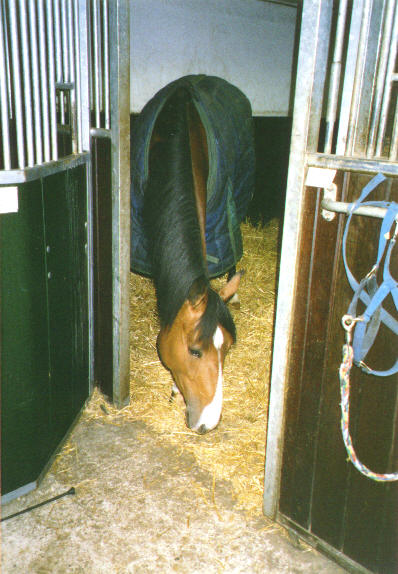 2001