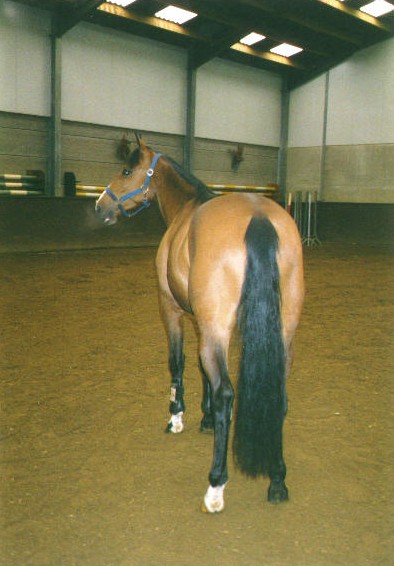2001