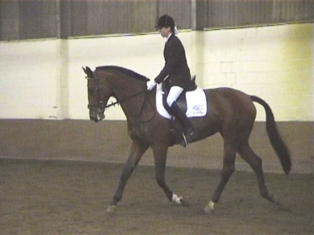 Katsbek 2003 L1, 160 punten