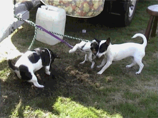 Die houden Mack wel bezig