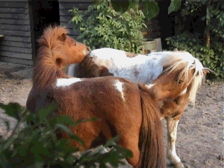Naar begin van de pagina