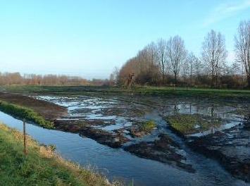 Naar begin van de pagina