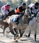 Snoeky op Hippodrome de Wallonie