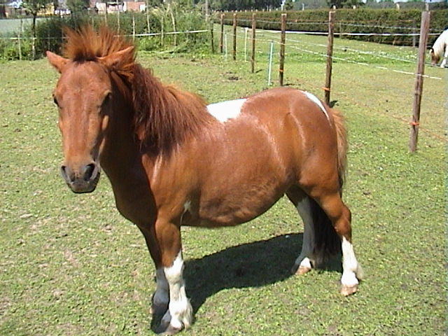 Juni 2005