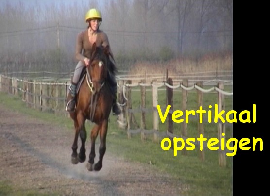 Overgewaaid uit Engeland